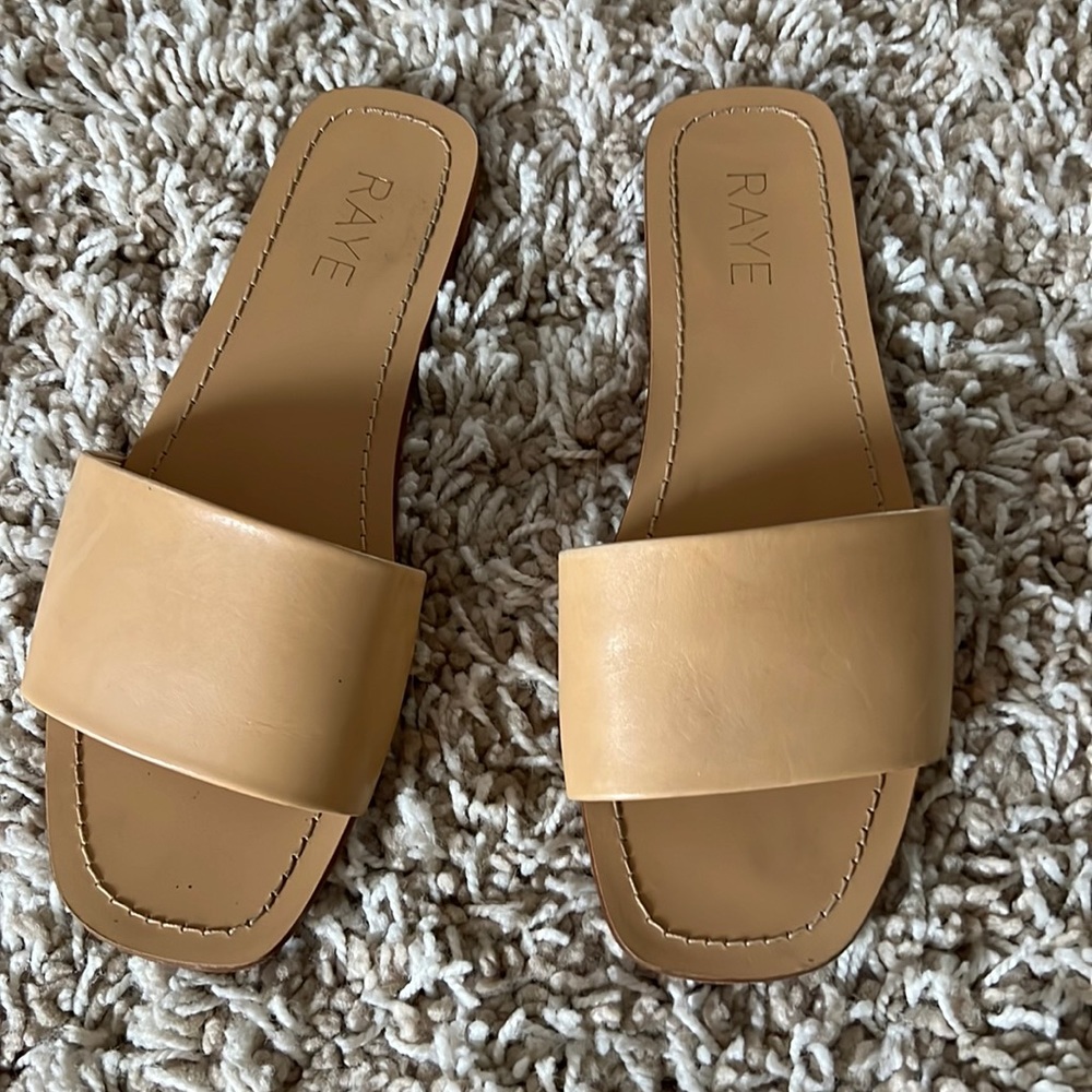 Raye Slides